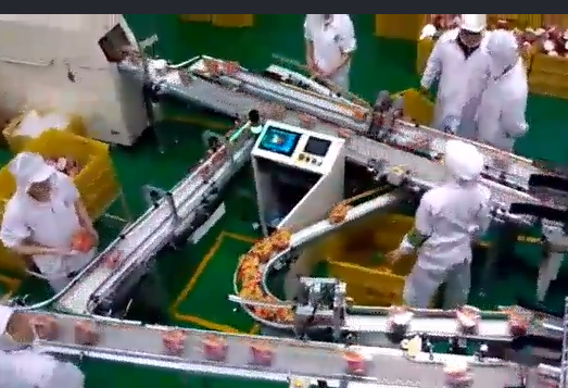 當(dāng)輸送帶出現(xiàn)跑偏后，怎么辦？